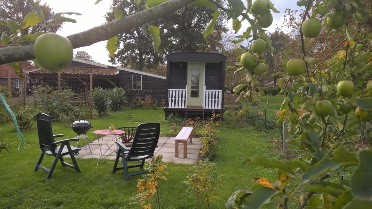 Pipowagen Elsebein Groningen Westerwolde Unieke Ligging Met Eigen Tuin En Vrij Uitzicht Over Veld Naar Natuurgebied Onstwedde Ngoại thất bức ảnh
