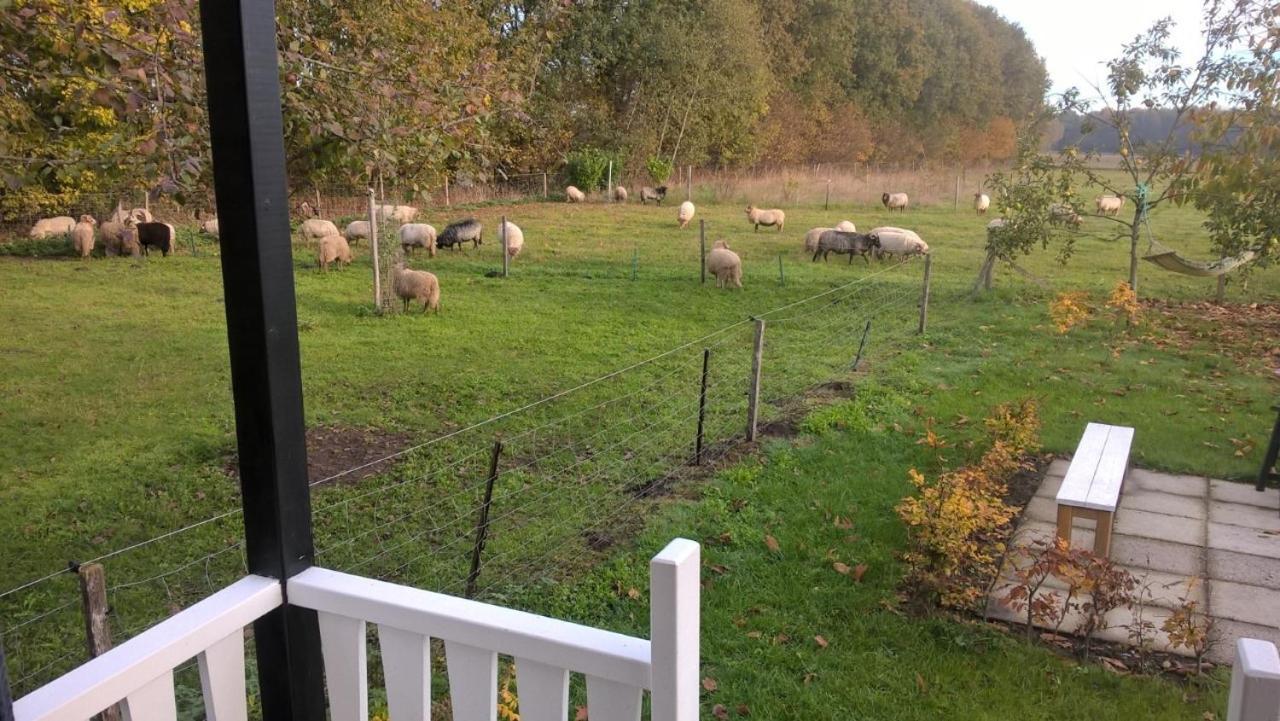 Pipowagen Elsebein Groningen Westerwolde Unieke Ligging Met Eigen Tuin En Vrij Uitzicht Over Veld Naar Natuurgebied Onstwedde Ngoại thất bức ảnh