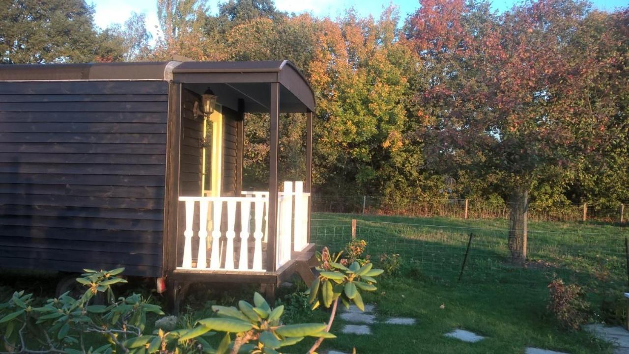 Pipowagen Elsebein Groningen Westerwolde Unieke Ligging Met Eigen Tuin En Vrij Uitzicht Over Veld Naar Natuurgebied Onstwedde Ngoại thất bức ảnh