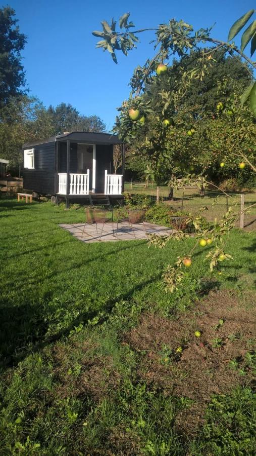 Pipowagen Elsebein Groningen Westerwolde Unieke Ligging Met Eigen Tuin En Vrij Uitzicht Over Veld Naar Natuurgebied Onstwedde Ngoại thất bức ảnh